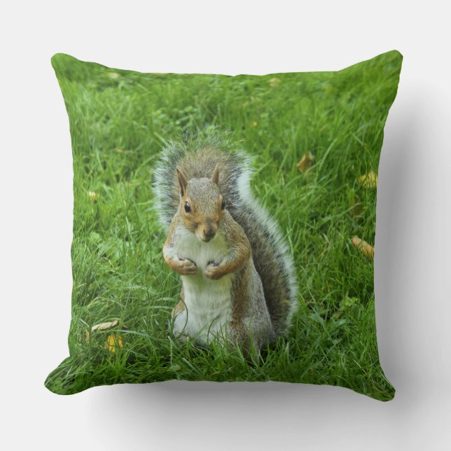 Grey Squirrel, Bute Park, Cardiff Cushion (Front)