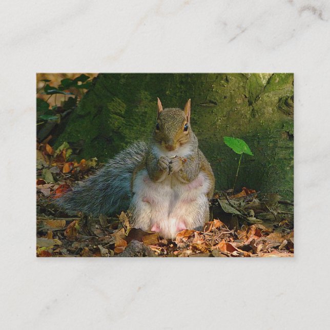 Grey Squirrel - Bute Park, Cardiff, Wales, UK Business Card (Front)