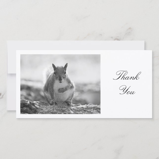 Grey Squirrel BW - Thank You Card (Front)