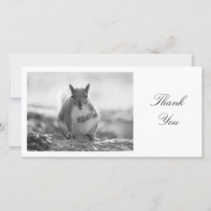 Grey Squirrel BW - Thank You Card