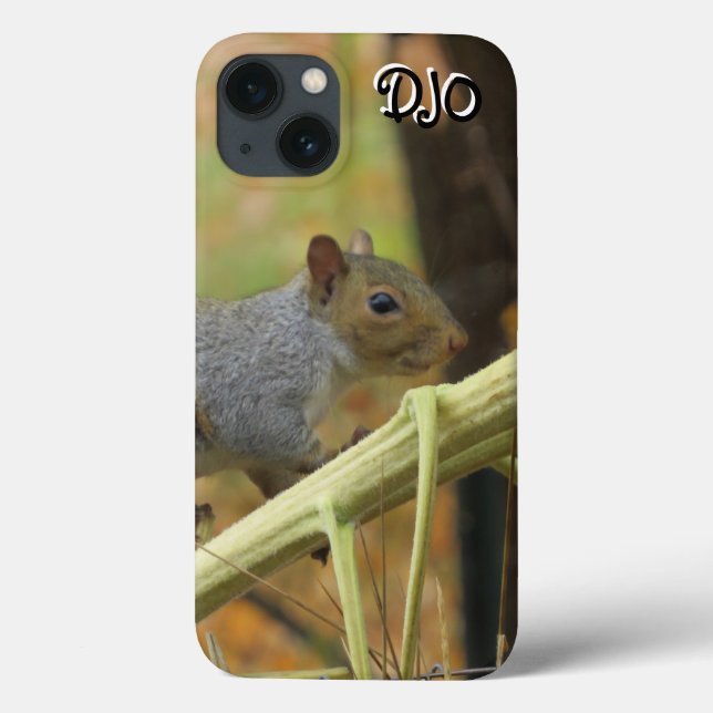 Grey Squirrel Case-Mate iPhone Case (Back)