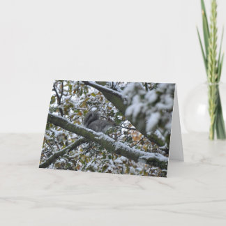Grey squirrel Christmas card
