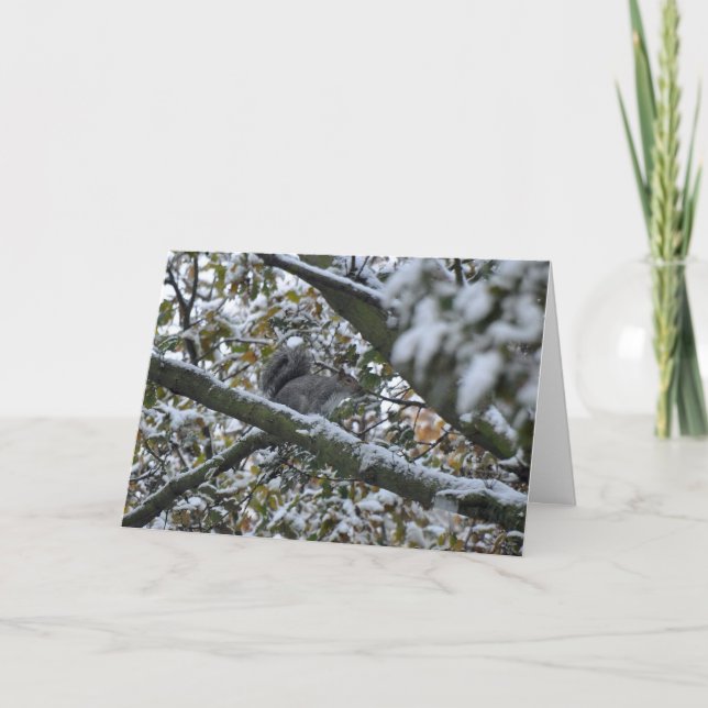 Grey squirrel Christmas card (Front)