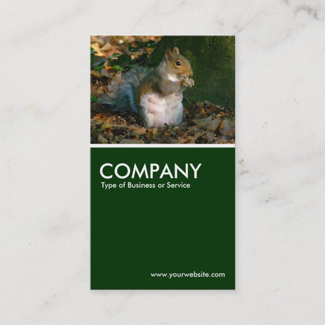 Grey Squirrel - Dark Green Business Card (Front)