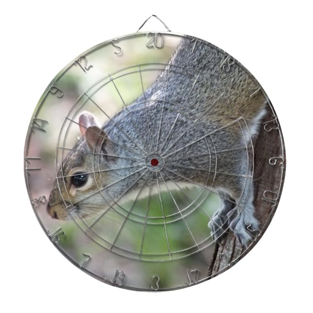Grey Squirrel Dartboard (Front)