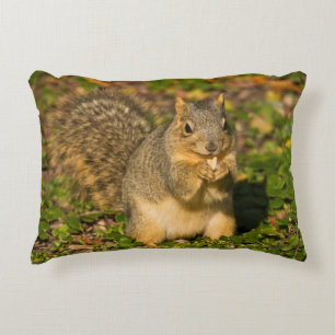 Grey Squirrel, eating, peanut, Crystal Springs Decorative Cushion