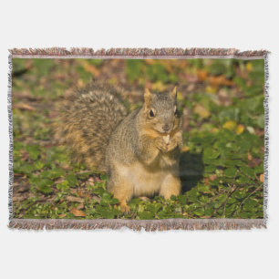 Grey Squirrel, eating, peanut, Crystal Springs Throw Blanket