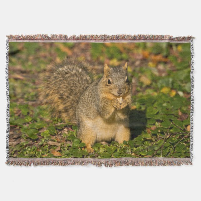 Grey Squirrel, eating, peanut, Crystal Springs Throw Blanket (Front)