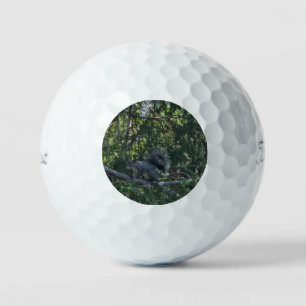 Grey Squirrel Golf Balls