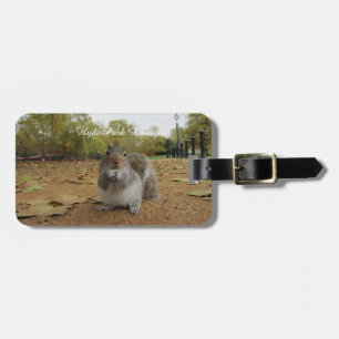 Grey Squirrel Hyde Park London. Luggage Tag