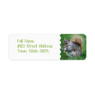 Grey Squirrel Mailing Labels