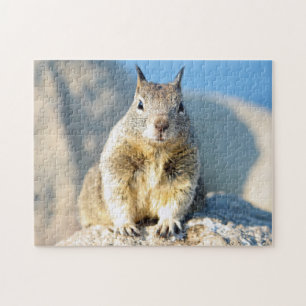 Grey squirrel, Monterey Bay, California Jigsaw Puzzle