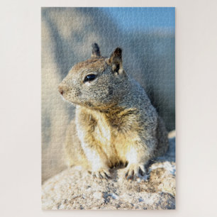 Grey squirrel, Monterey Bay, California Jigsaw Puzzle
