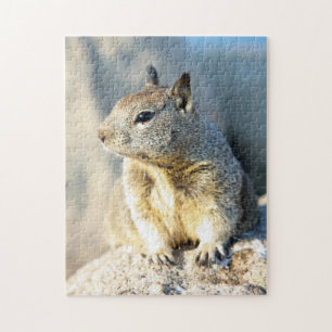 Grey squirrel, Monterey Bay, California Jigsaw Puzzle
