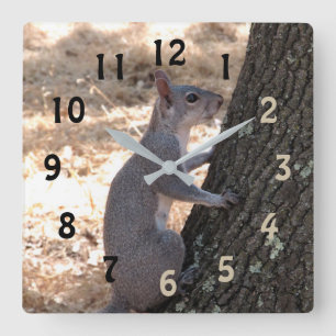 Grey Squirrel Numbered Wall Clock