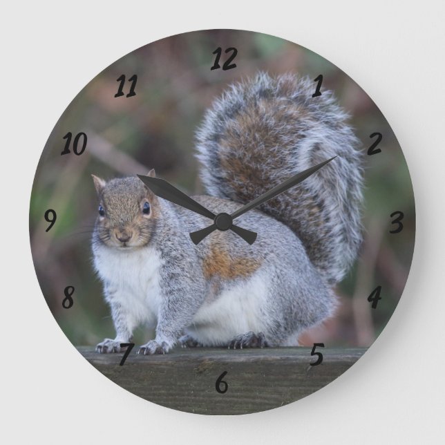 Grey Squirrel on Large Round Clock (Front)