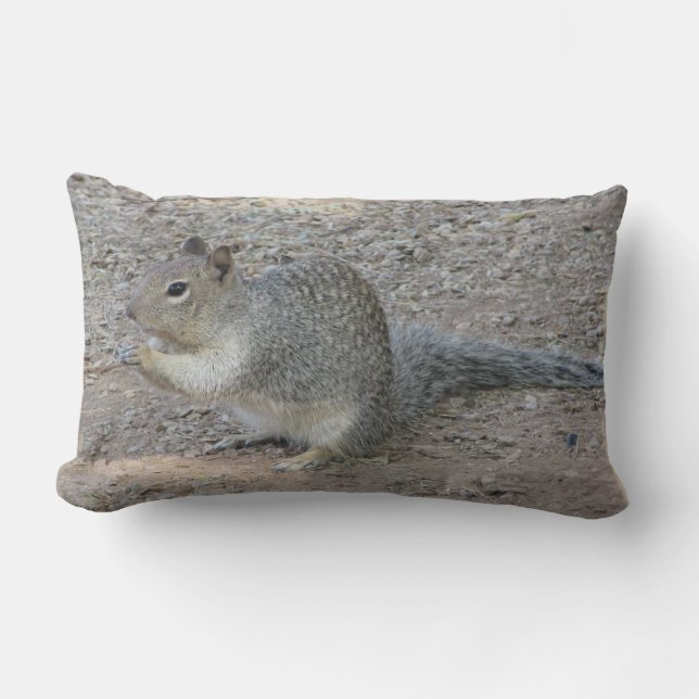 Grey Squirrel Photo Adorable Wild Woodland Animal  Lumbar Cushion (Front)