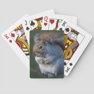 Grey Squirrel Playing Cards