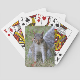 Grey Squirrel Playing Cards