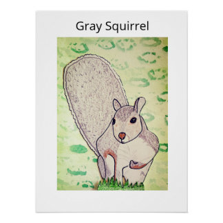 Grey Squirrel Poster