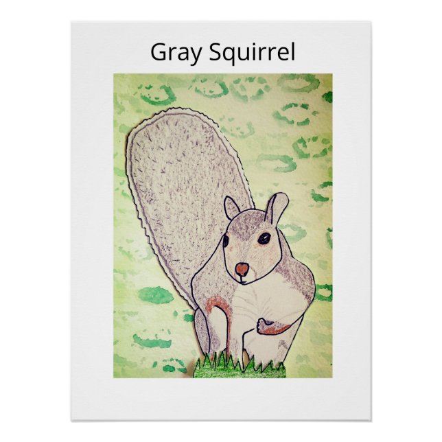 Grey Squirrel  Poster (Front)