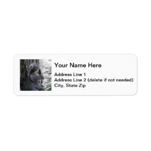 Grey Squirrel Return Address Label
