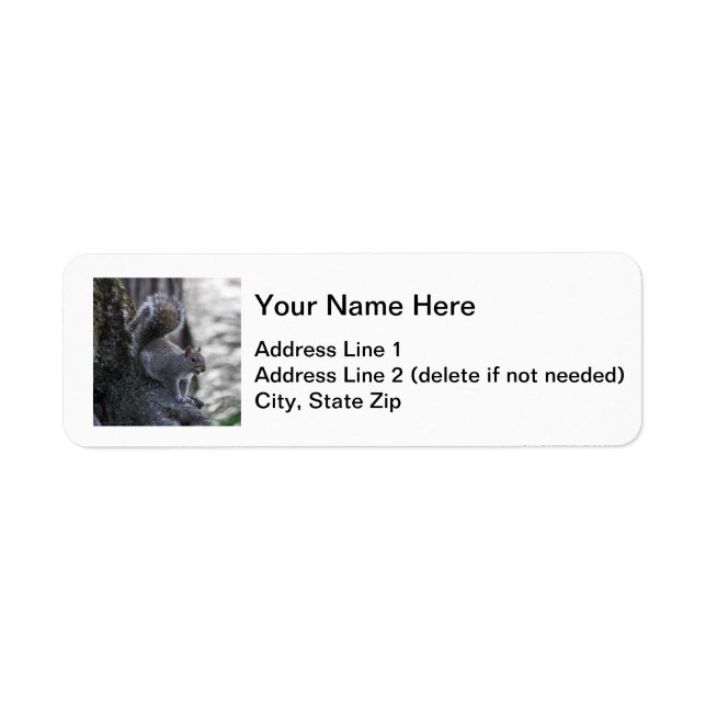 Grey Squirrel Return Address Label (Front)