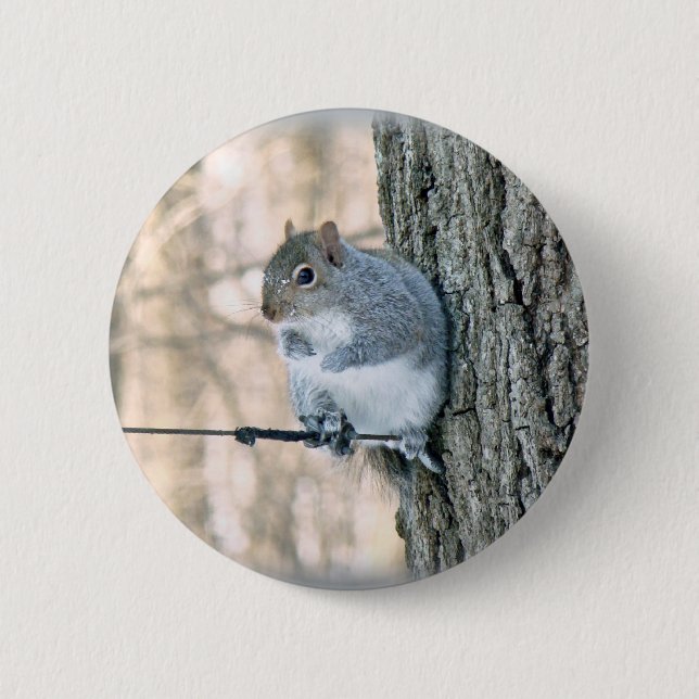 Grey Squirrel - Sciurus carolinensis 6 Cm Round Badge (Front)