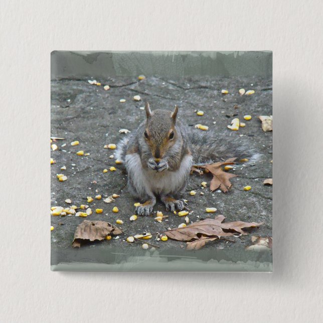Grey Squirrel Series 15 Cm Square Badge (Front)