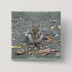 Grey Squirrel Series 15 Cm Square Badge