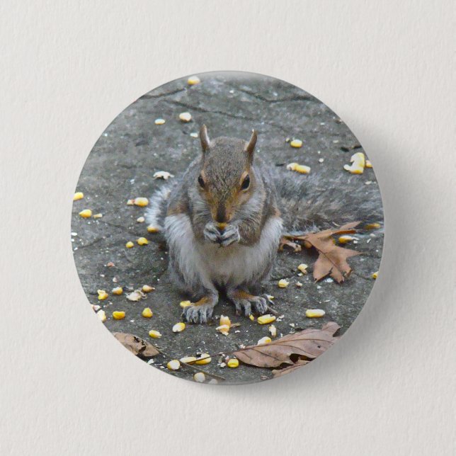 Grey Squirrel Series 6 Cm Round Badge (Front)