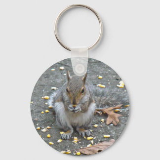 Grey Squirrel Series Key Ring