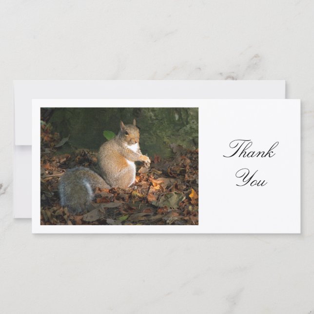 Grey Squirrel - Thank You Card (Front)