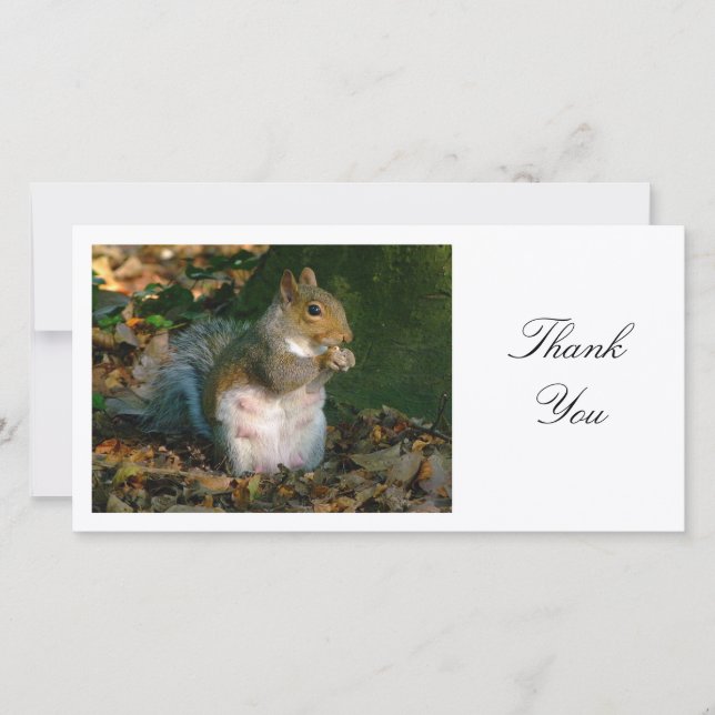 Grey Squirrel - Thank You Card (Front)