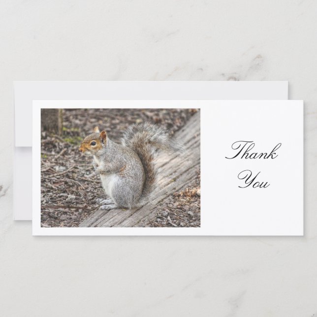 Grey Squirrel - Thank You Card (Front)