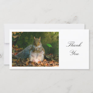 Grey Squirrel - Thank You Card