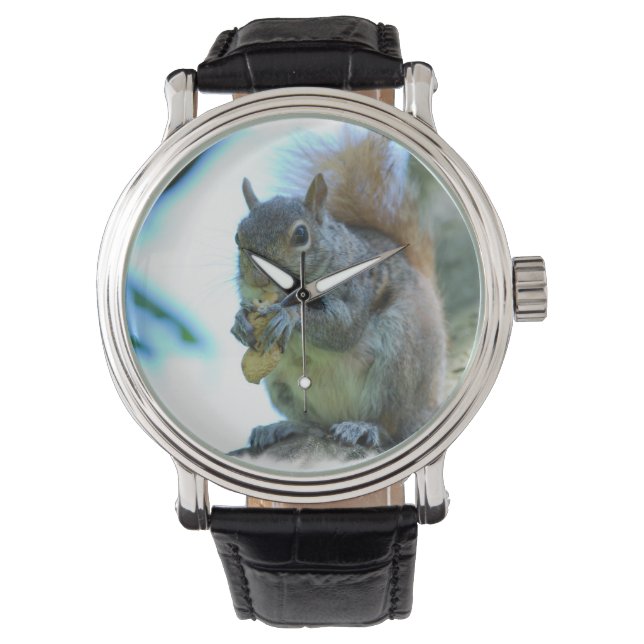 Grey Squirrel Watch (Front)