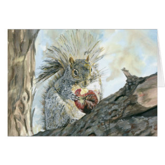 Grey Squirrel with apple