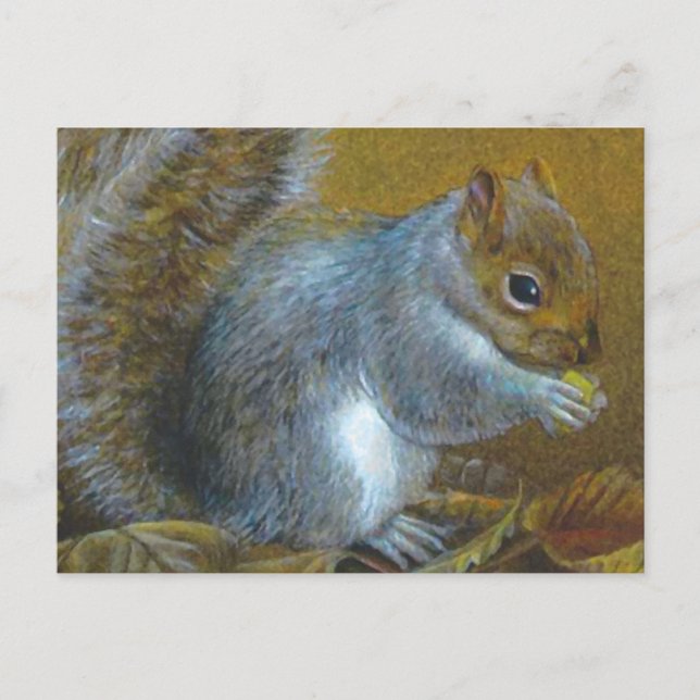Grey squirrel with nut art painting postcard (Front)