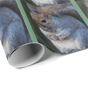 Grey Squirrel Wrapping Paper