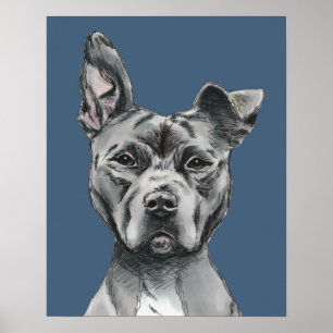 Grey Stalky Pit Bull Dog Drawing Poster