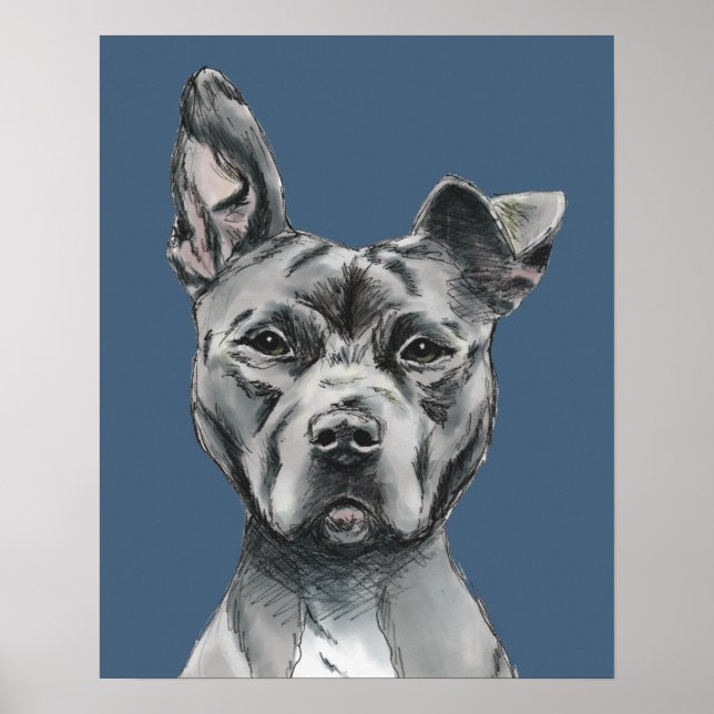 Grey Stalky Pit Bull Dog Drawing Poster (Front)