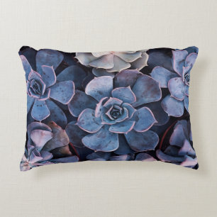 Grey succulents decorative cushion