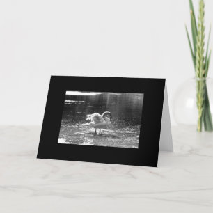 Grey Swan Greeting Card