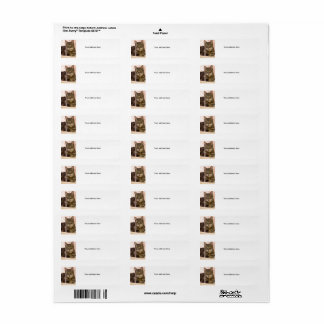 Grey tabby cat address labels