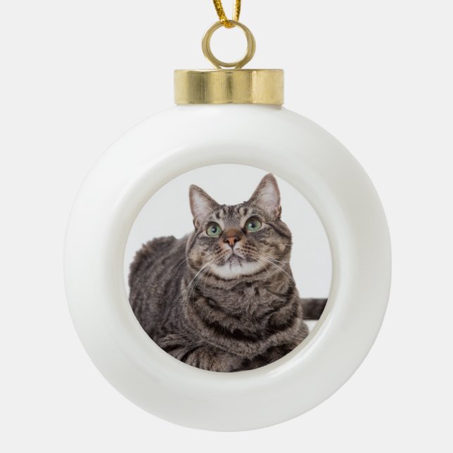 Grey Tabby Cat Ceramic Ball Christmas Ornament (Front)