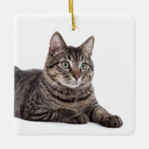 Grey Tabby Cat Ceramic Ornament
