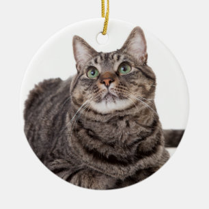 Grey Tabby Cat Ceramic Ornament