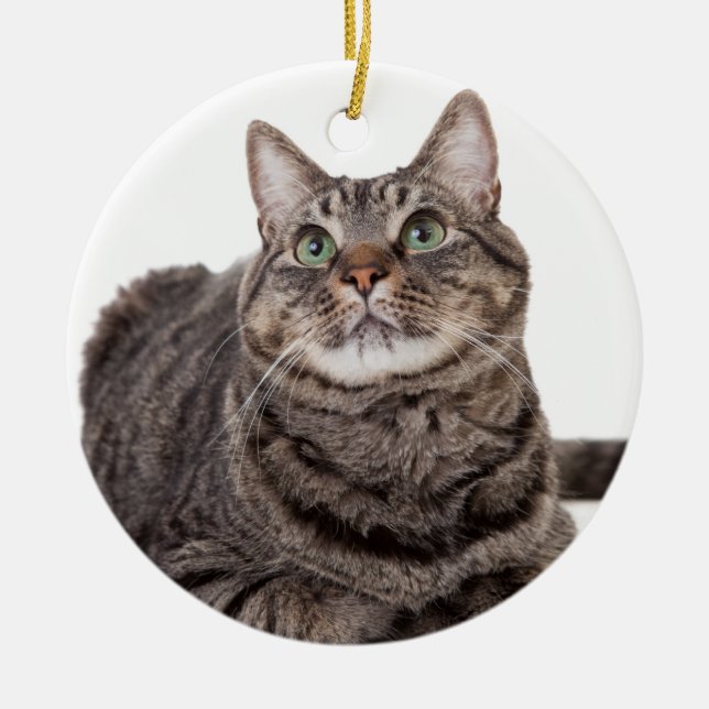 Grey Tabby Cat Ceramic Ornament (Front)