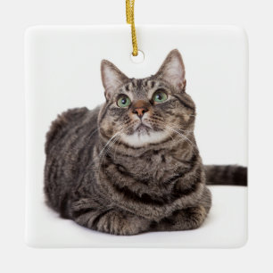 Grey Tabby Cat Ceramic Ornament